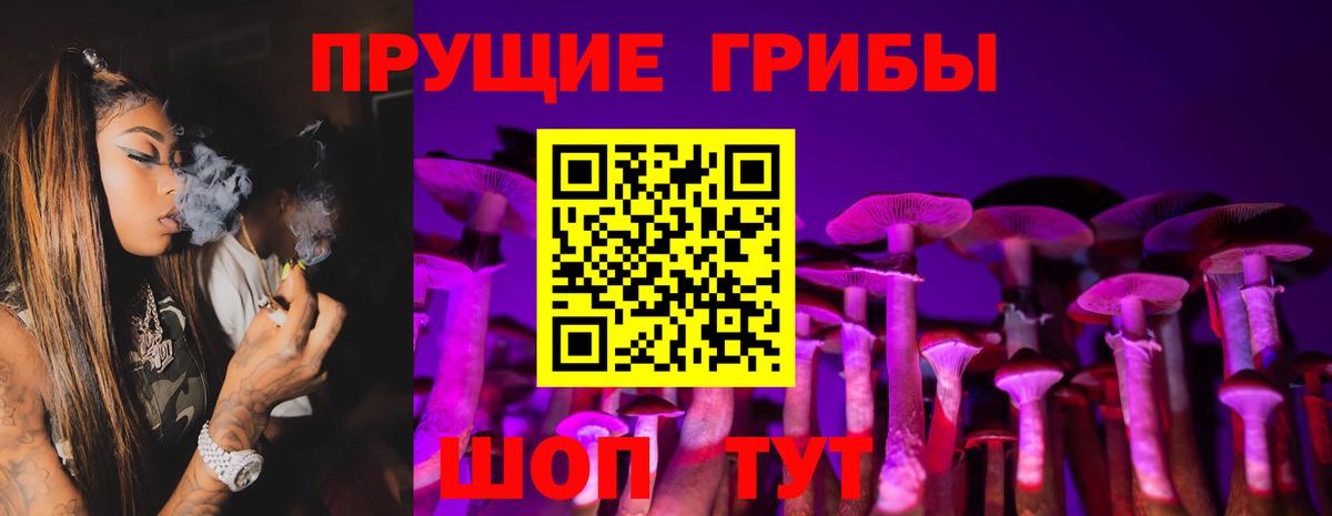 Галлюциногенные грибы Psilocybe  Вход с VPN  Братск 