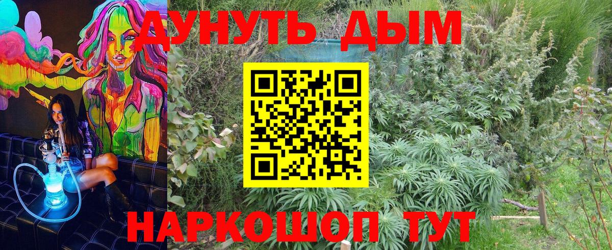 Каннабис OG Kush Братск